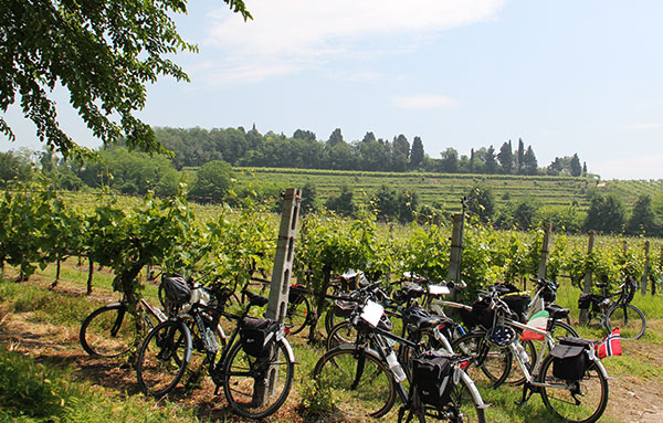 Bike Tour Piemonte-LE LANGHE – da Asti a Barolo