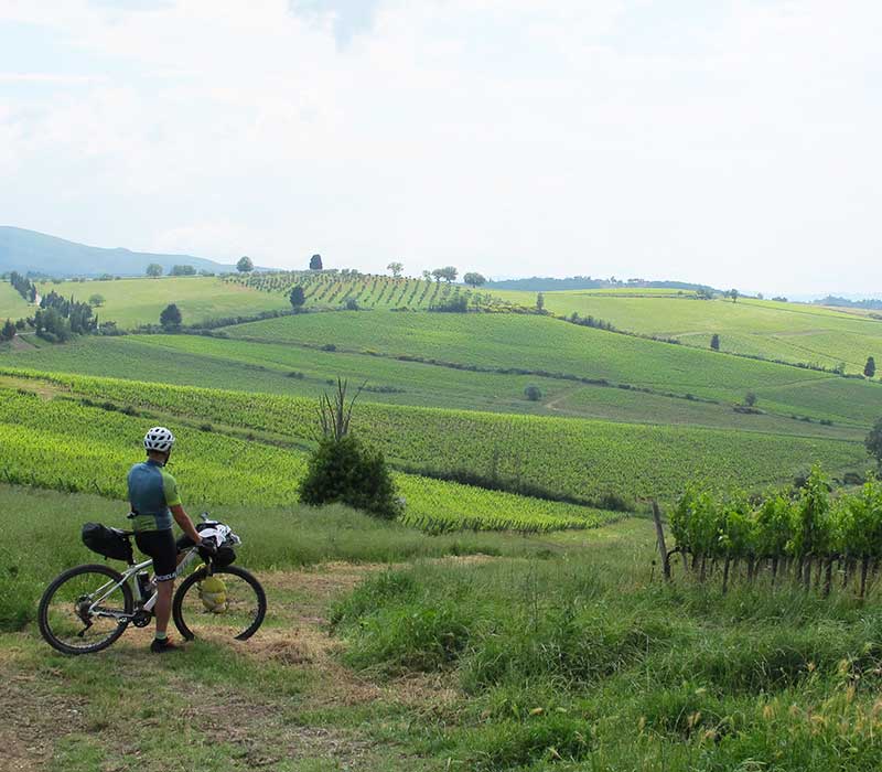 Mountain bike tour Toscana - dal Chianti alla Val d'Orcia