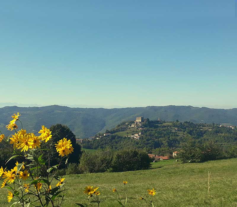 Trekking Nord Italia - Langhe e Roero - da Barolo all'Alta Langa