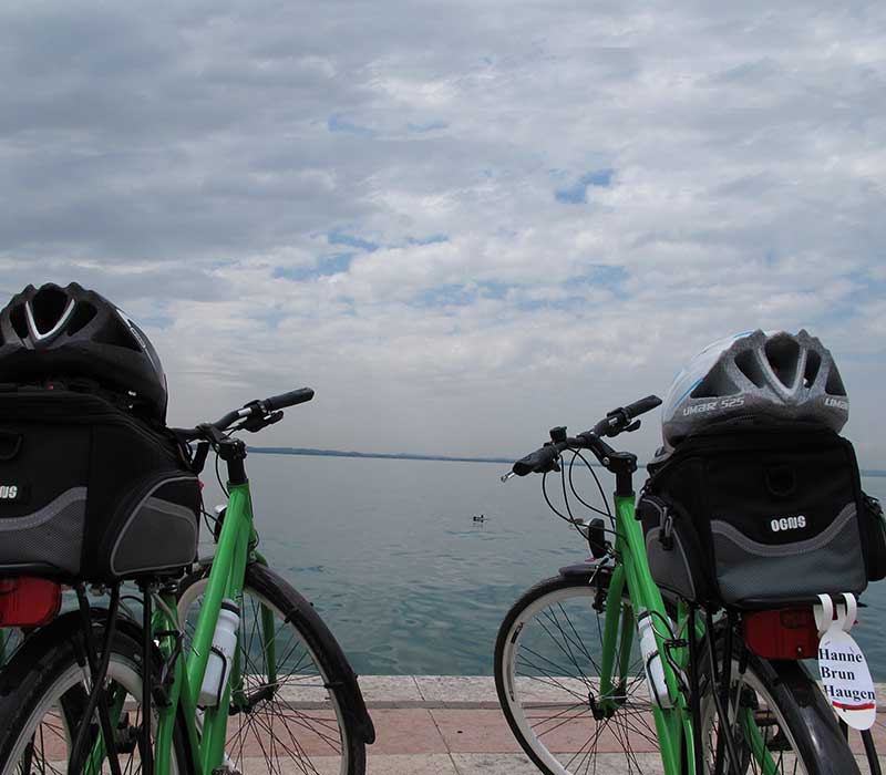Oliven Italia - Bike tours - Guided tour Self tour Italy - Ebike MTB
