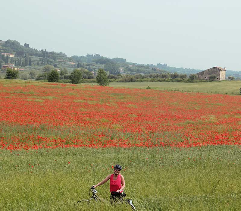 Self Bike Tour Nord Italia - Lago di Garda, Mantova e Verona