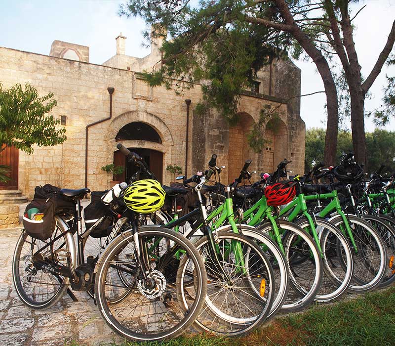 Oliven Italia - viaggi in bicicletta organizzati italia