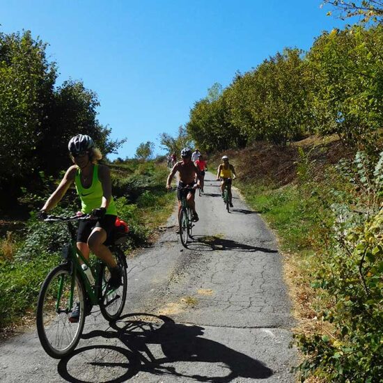 Self Bike Tour- Le langhe in bici - da Asti a Barolo.