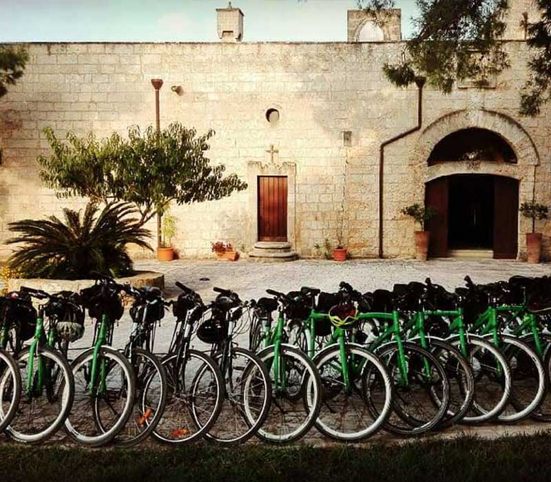 Oliven Italia - viaggi in bicicletta organizzati italia
