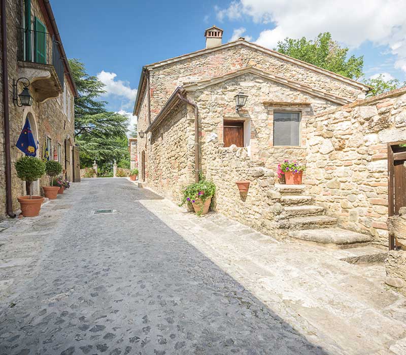 Oliven Italia bike tour Toscana - Relais Laticastelli - Rapolano