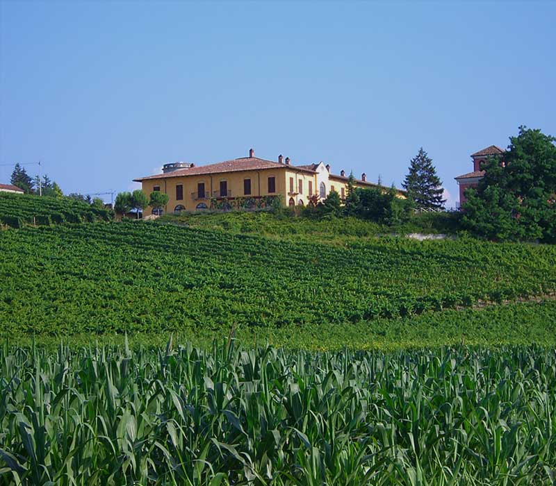 Oliven Italia bike tour Piemonte - Tenuta La Romana - Nizza